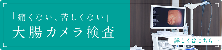 「痛くない、苦しくない」大腸カメラ検査